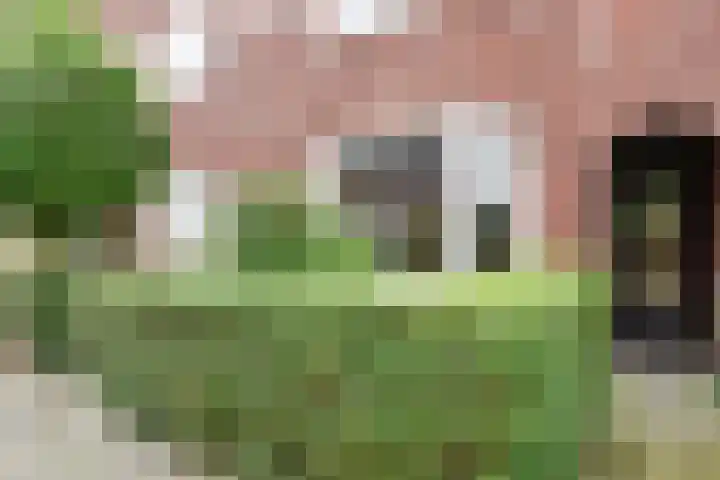 J.A. Feithstraat 13 Groningen thumbnail 4