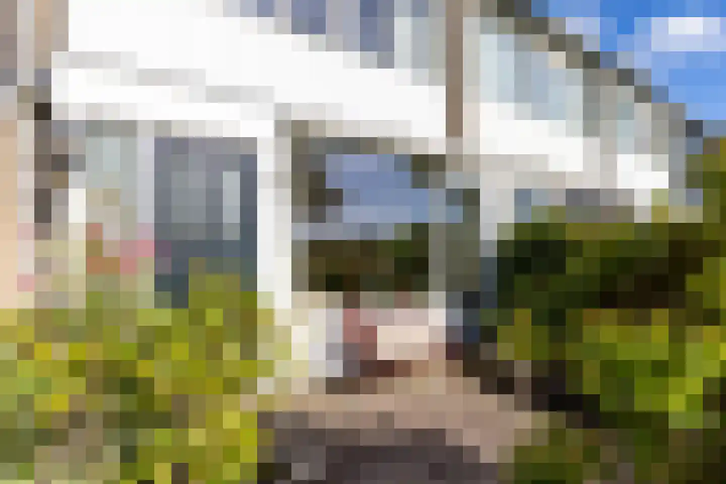 J.A.Fijnvandraatlaan 123 Weesp thumbnail 35