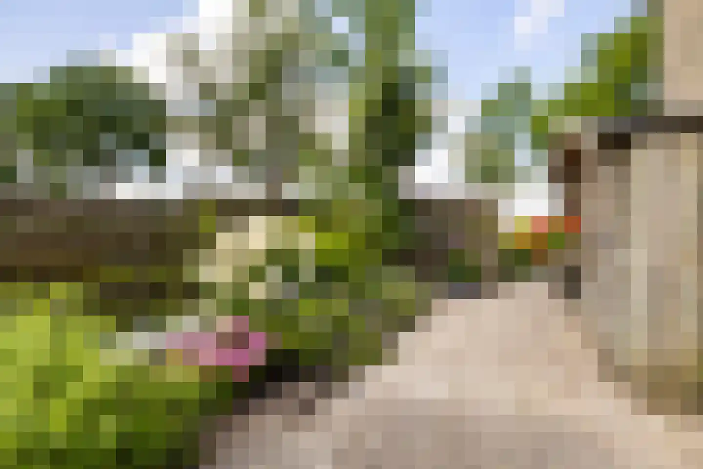 J.A.Fijnvandraatlaan 133 Weesp thumbnail 29