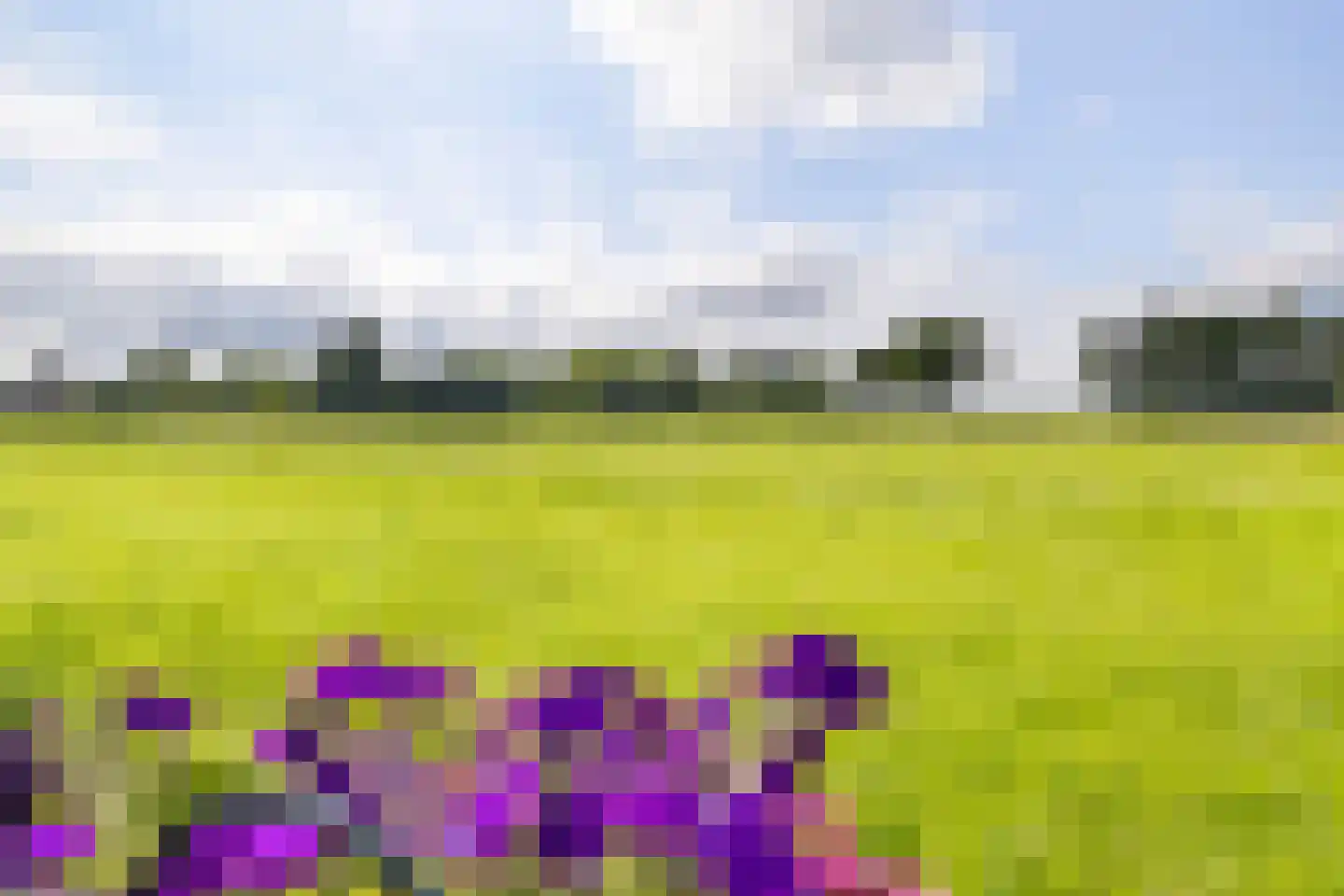 J.A.Fijnvandraatlaan 133 Weesp thumbnail 33