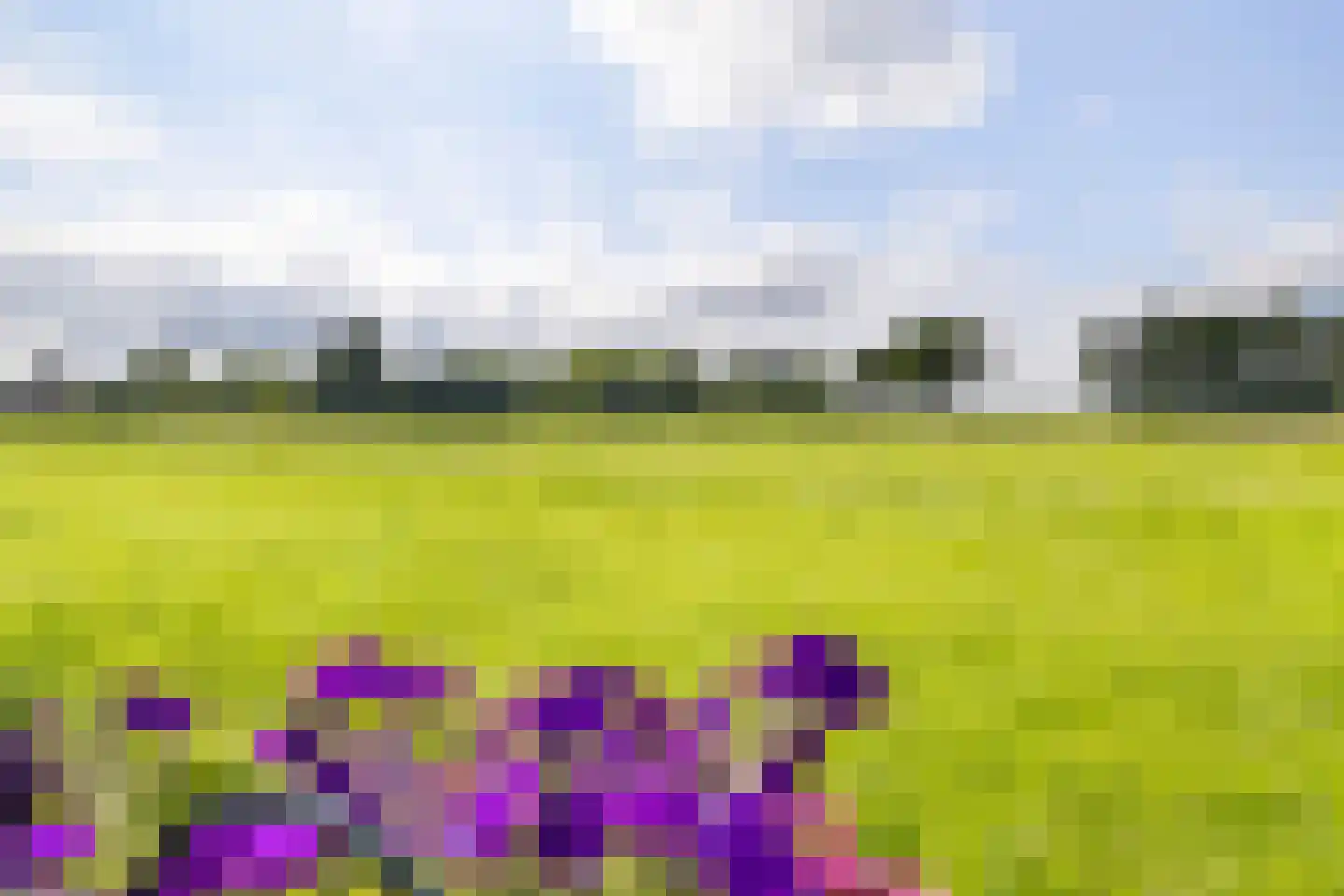J.A.Fijnvandraatlaan 133 Weesp thumbnail 34
