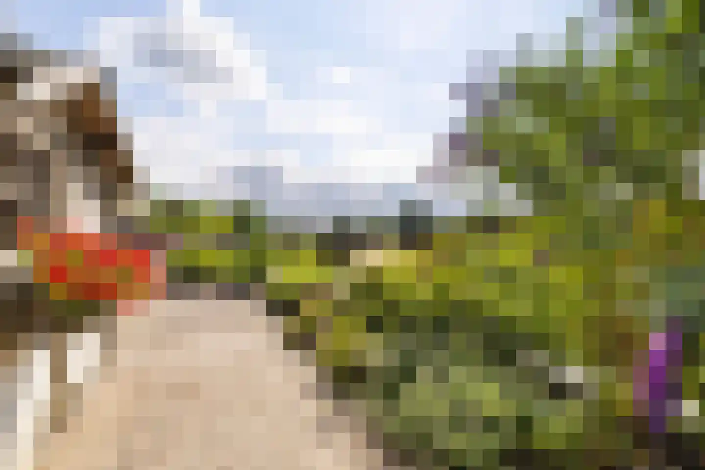 J.A.Fijnvandraatlaan 133 Weesp thumbnail 35