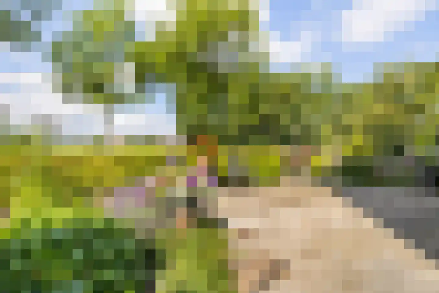 J.A.Fijnvandraatlaan 133 Weesp thumbnail 7