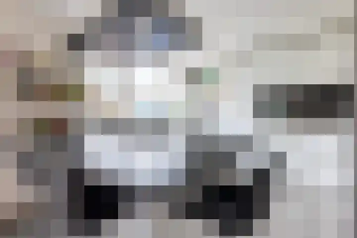 J.A.Fijnvandraatlaan 95 Weesp thumbnail 15