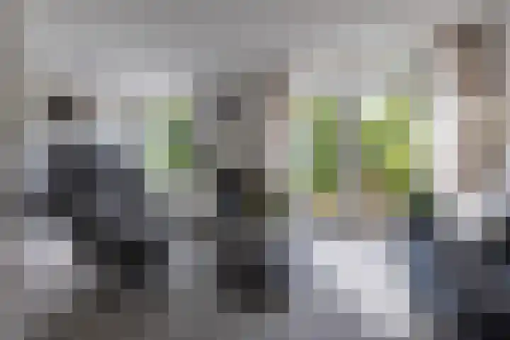 J.A.Fijnvandraatlaan 95 Weesp thumbnail 6