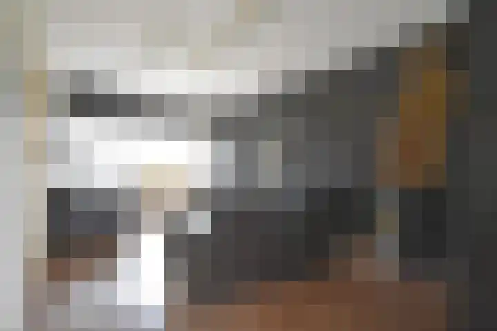 J.A. Fokkemastraat 25 Noardburgum thumbnail 12