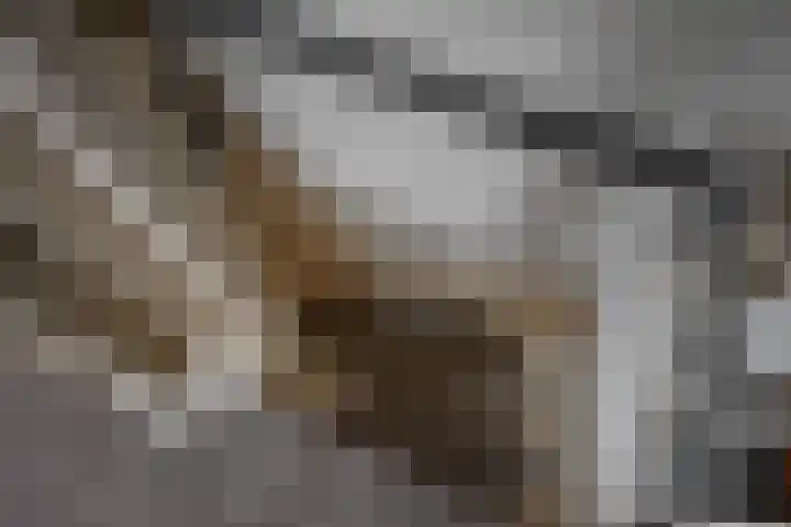 J.A. Fokkemastraat 25 Noardburgum thumbnail 35