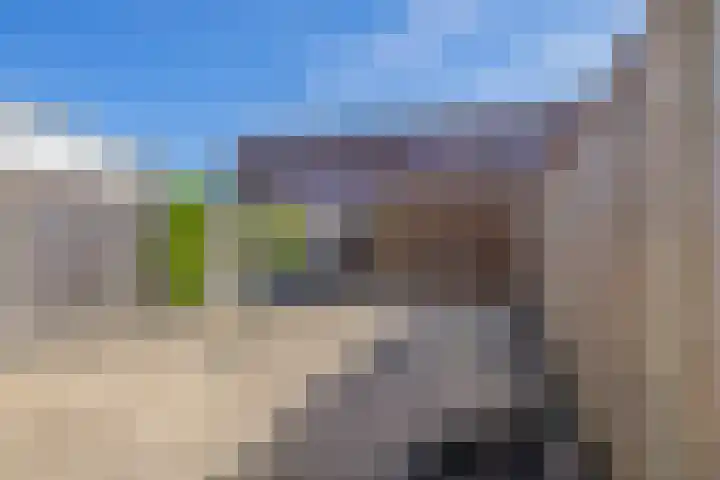 J.A. Heijwegenlaan 21 Spijkenisse thumbnail 19