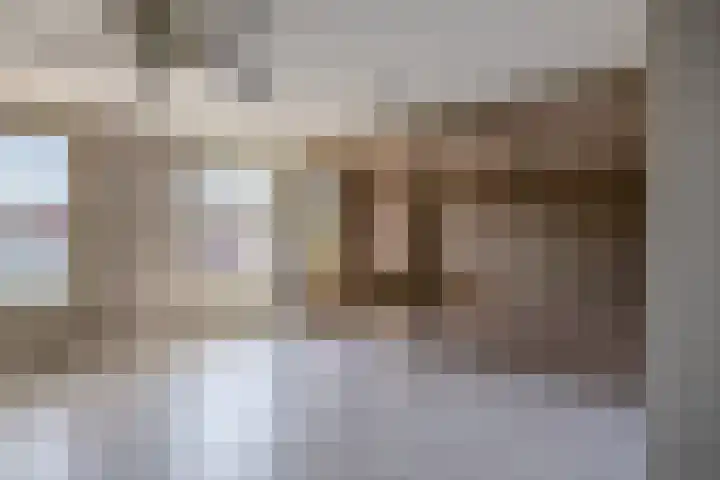 J.A. Heijwegenlaan 21 Spijkenisse thumbnail 32