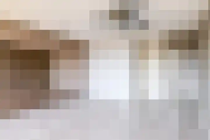 J.A. Heijwegenlaan 21 Spijkenisse thumbnail 33