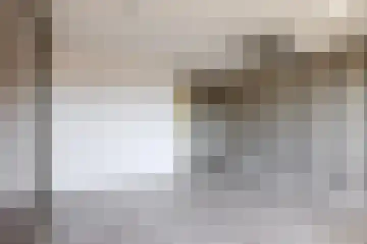 J.A. Heijwegenlaan 21 Spijkenisse thumbnail 34