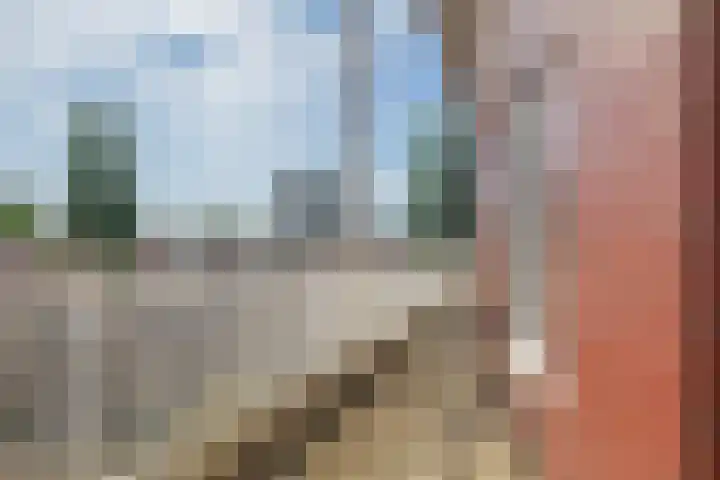 J.A. Heijwegenlaan 21 Spijkenisse thumbnail 39