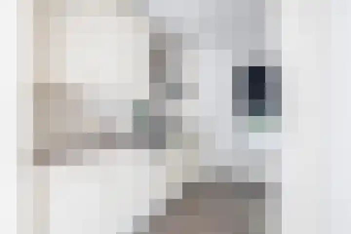 J.A. Heijwegenlaan 21 Spijkenisse thumbnail 4