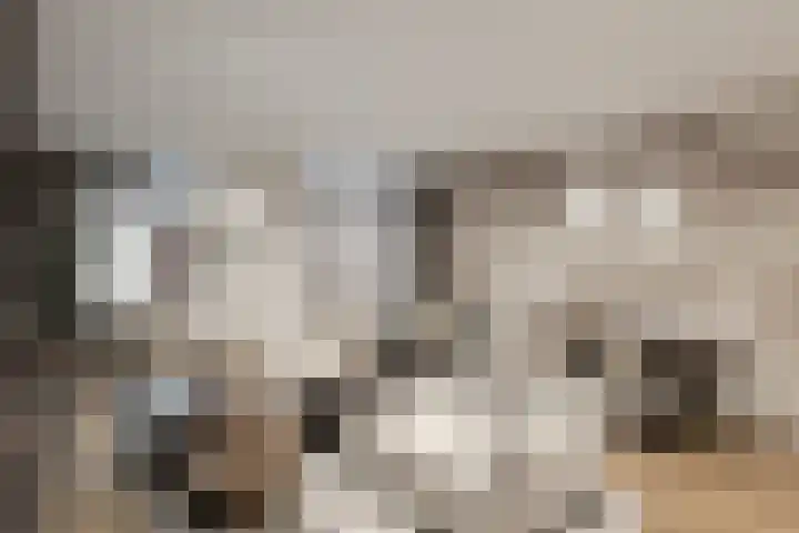 J.A. Heijwegenlaan 21 Spijkenisse thumbnail 7