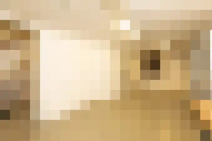J.A. Kalfflaan 2 Hilversum thumbnail 10