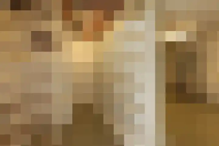 J.A. Kalfflaan 2 Hilversum thumbnail 13