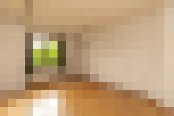 J.A. Kalfflaan 2 Hilversum thumbnail 18
