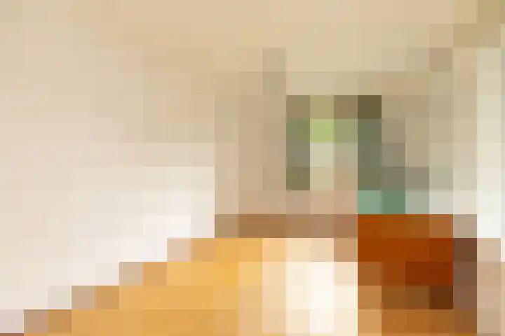 J.A. Kalfflaan 2 Hilversum thumbnail 19
