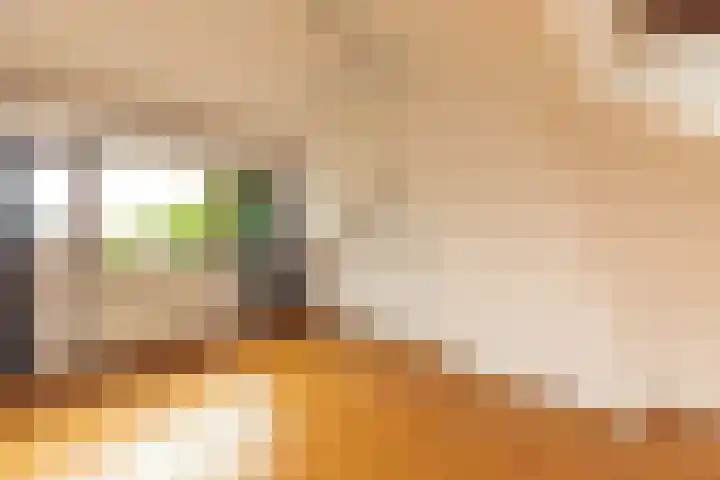 J.A. Kalfflaan 2 Hilversum thumbnail 22
