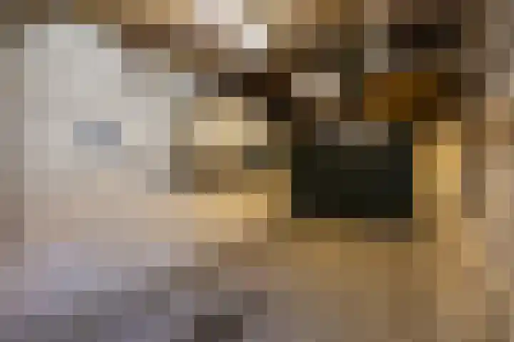 J.A. Kalfflaan 2 Hilversum thumbnail 25