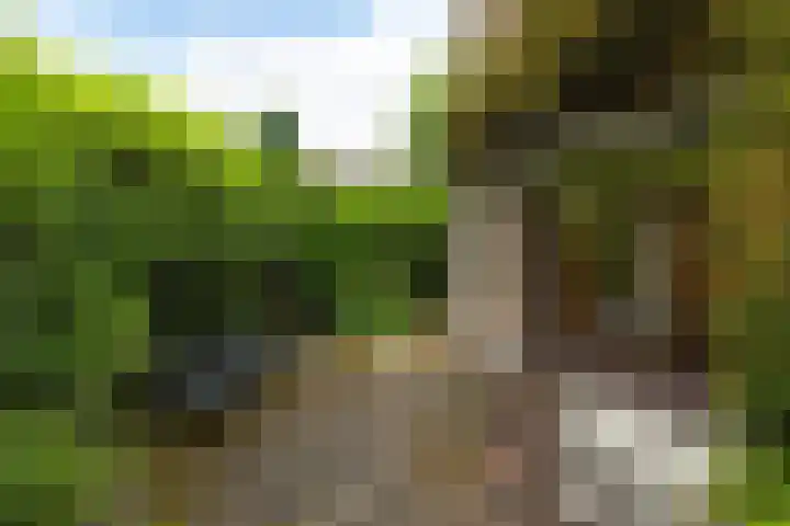 J.A. Kalfflaan 2 Hilversum thumbnail 26