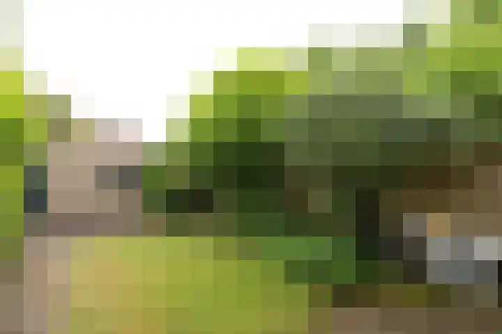 J.A. Kalfflaan 2 Hilversum thumbnail 27