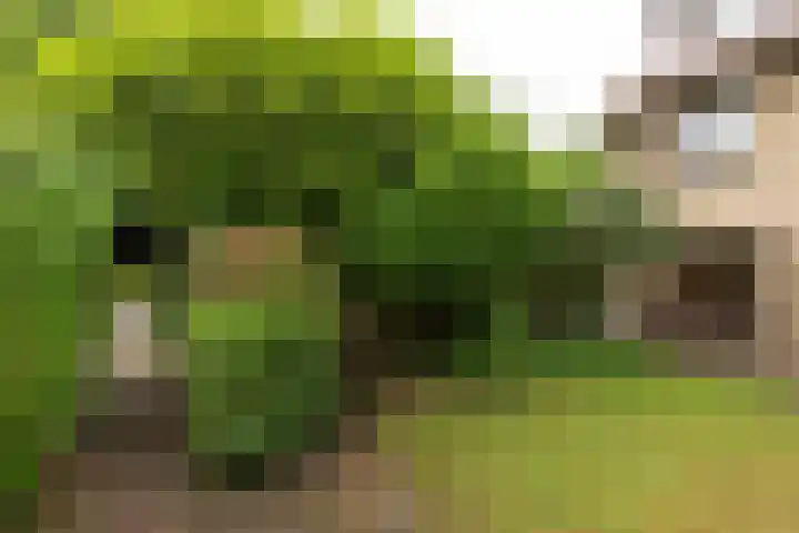 J.A. Kalfflaan 2 Hilversum thumbnail 30