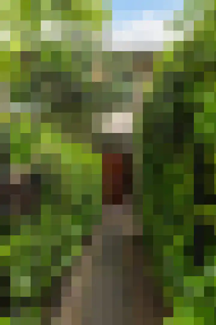 J.A. Kalfflaan 2 Hilversum thumbnail 31