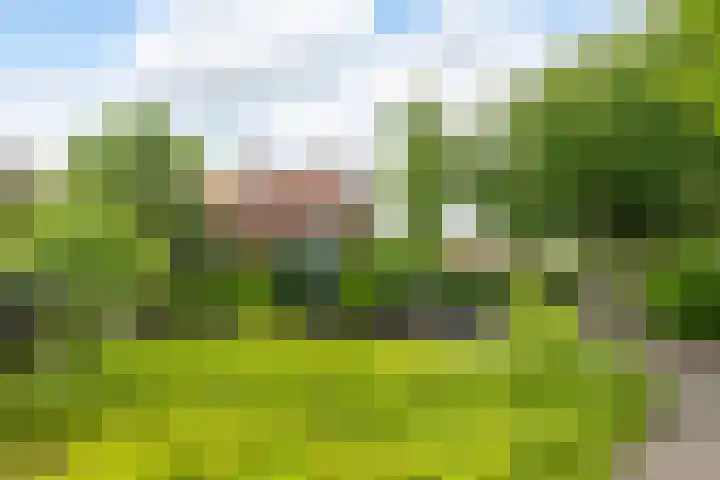 J.A. Kalfflaan 2 Hilversum thumbnail 32