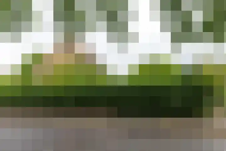J.A. Kalfflaan 2 Hilversum thumbnail 33