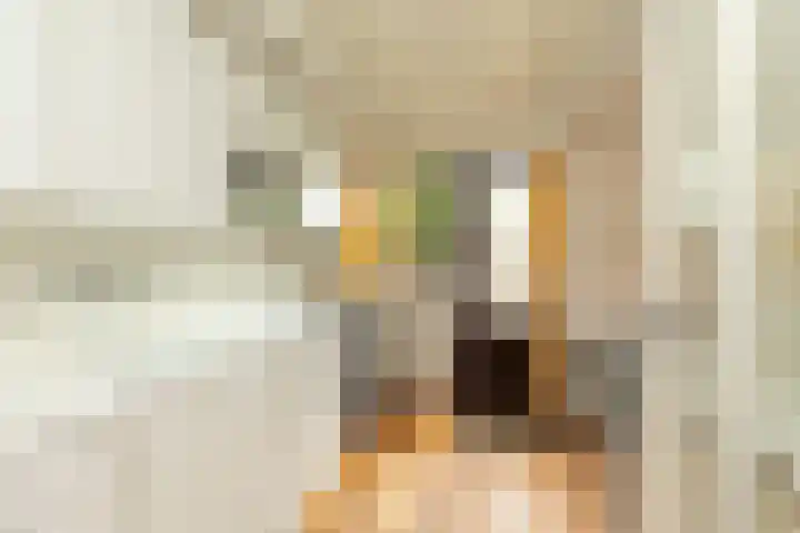 J.A. Kalfflaan 2 Hilversum thumbnail 9