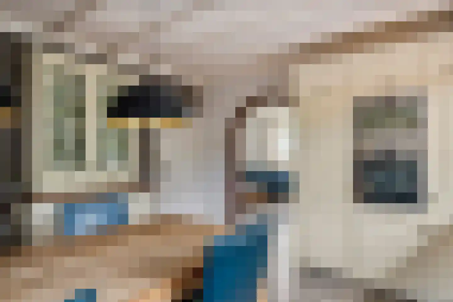 J.A.L.J. van Meertenstraat 6 Meteren thumbnail 11