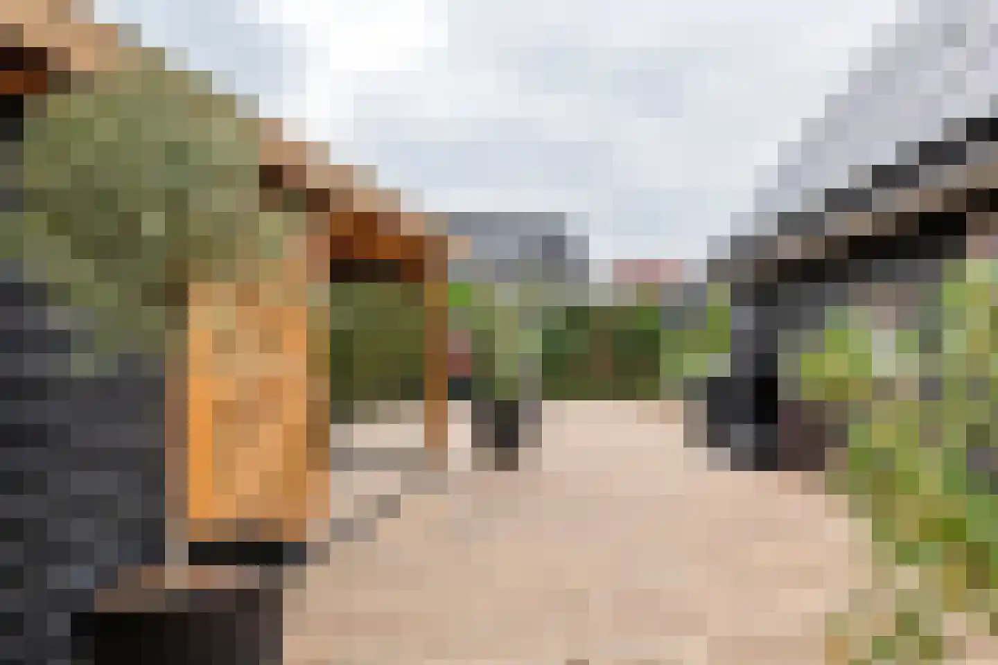 J.A.L.J. van Meertenstraat 6 Meteren thumbnail 30