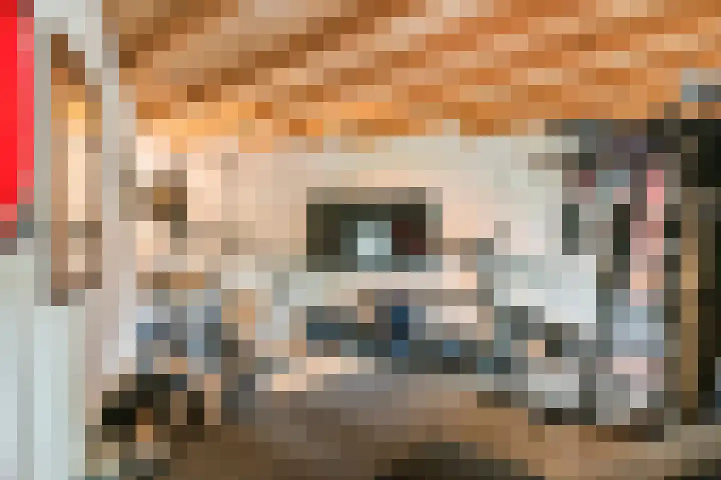 J.A.L.J. van Meertenstraat 6 Meteren thumbnail 36