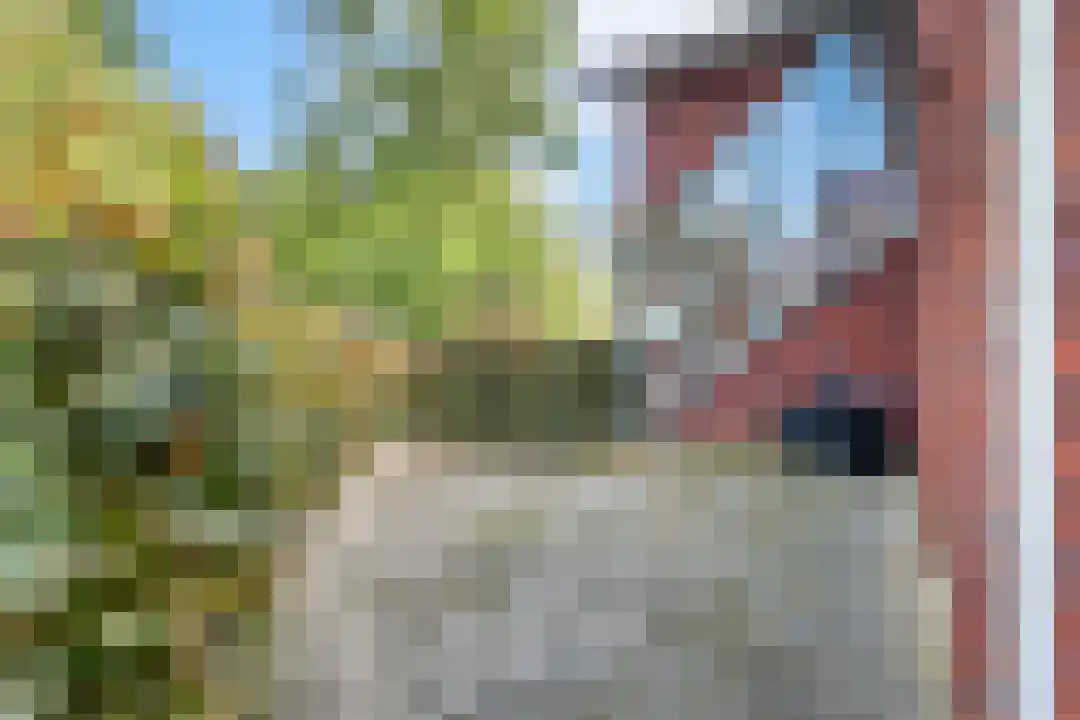 J.A. Rädeckerweg 11 Schoorl thumbnail 37
