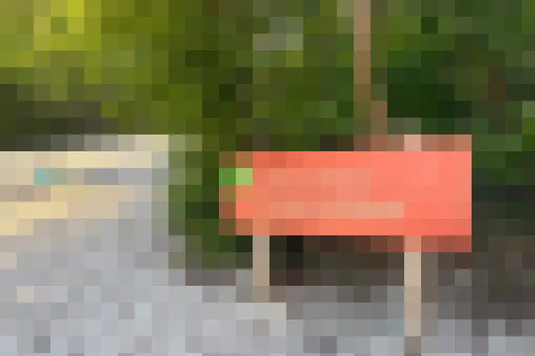 J.A. Rädeckerweg 11 Schoorl thumbnail 43
