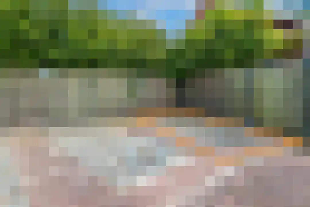 J.A. Rädeckerweg 11 Schoorl thumbnail 9