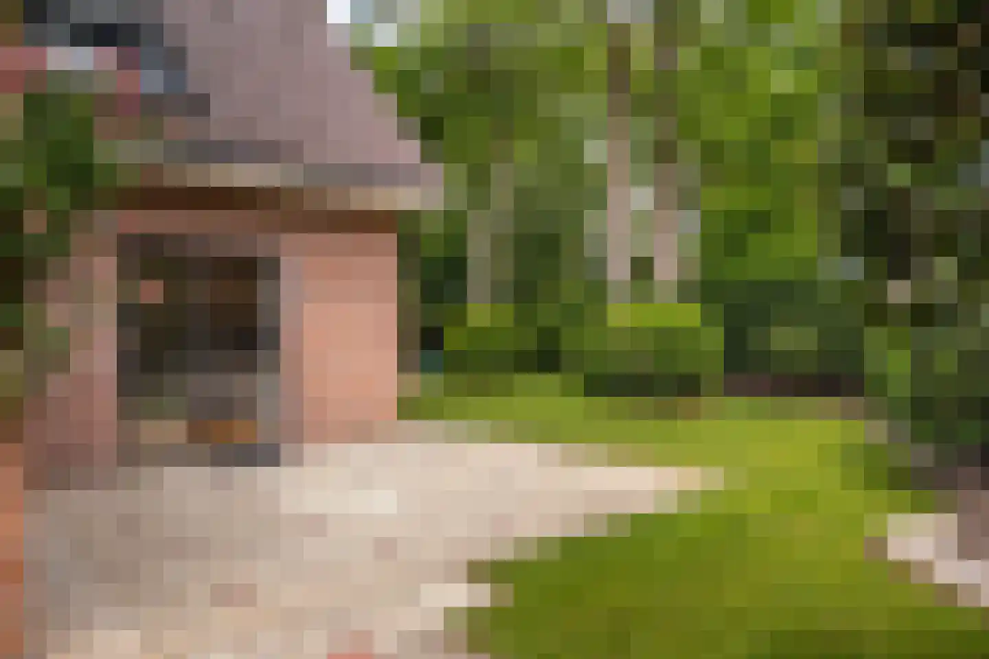 J.A. Rädeckerweg 2 Schoorl thumbnail 15