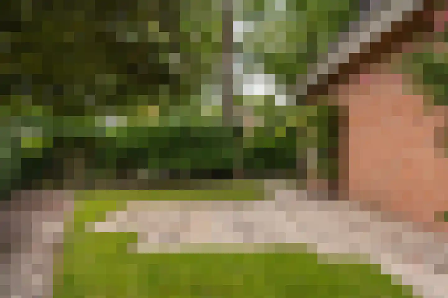 J.A. Rädeckerweg 2 Schoorl thumbnail 16