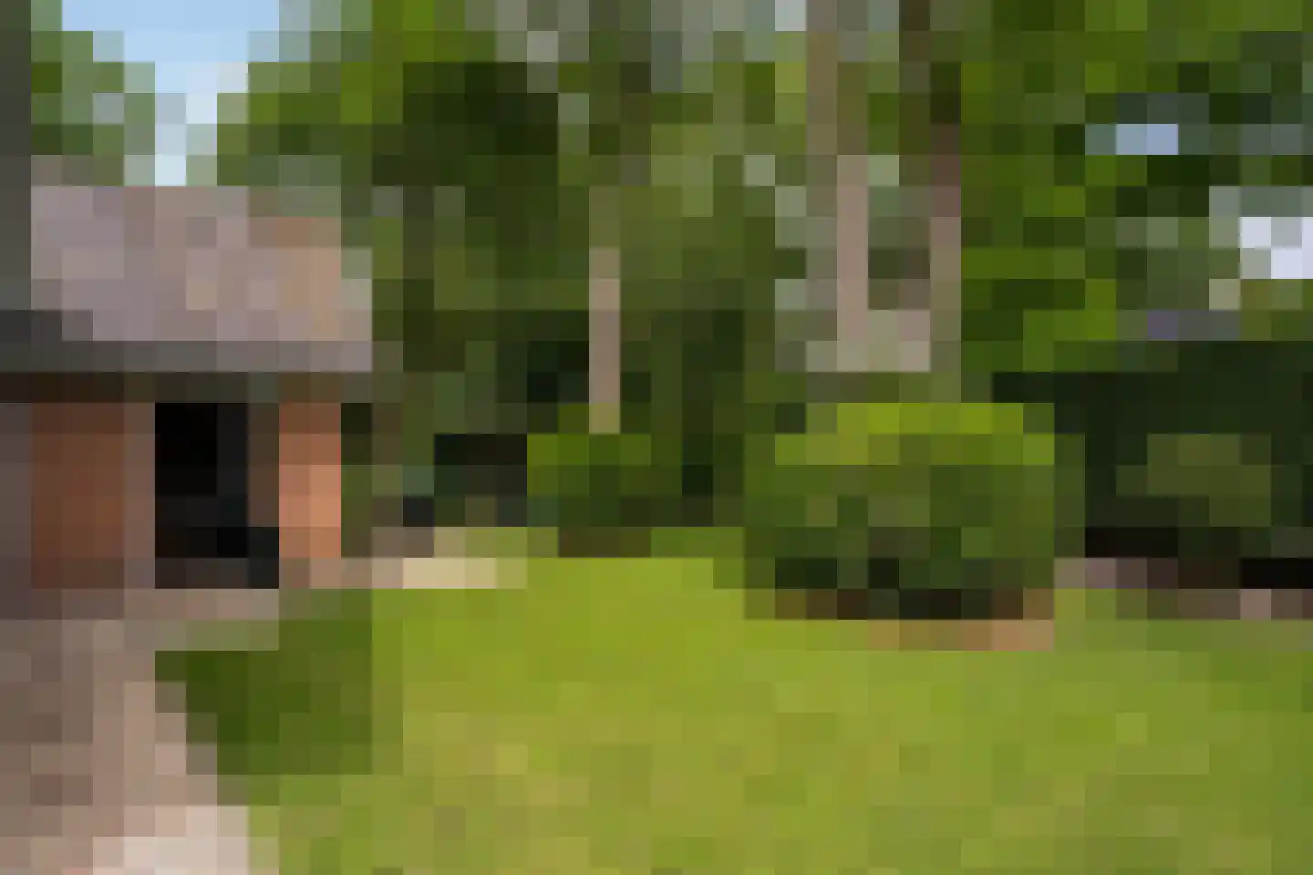 J.A. Rädeckerweg 2 Schoorl thumbnail 18