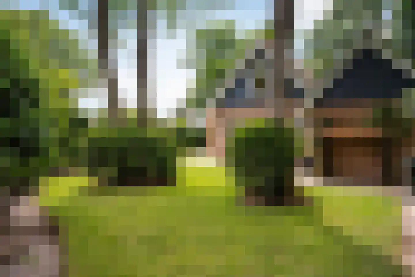 J.A. Rädeckerweg 2 Schoorl thumbnail 19