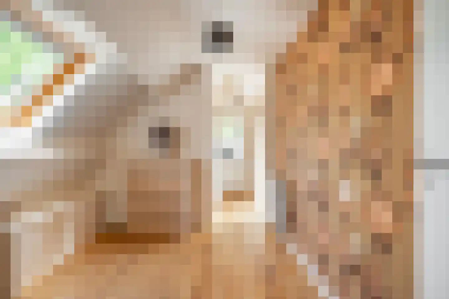 J.A. Rädeckerweg 2 Schoorl thumbnail 22