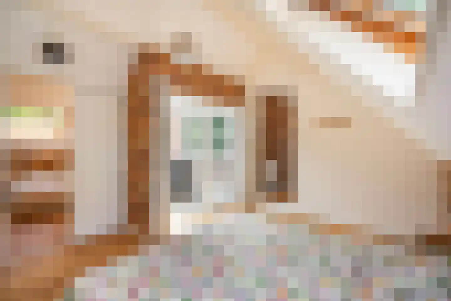 J.A. Rädeckerweg 2 Schoorl thumbnail 25
