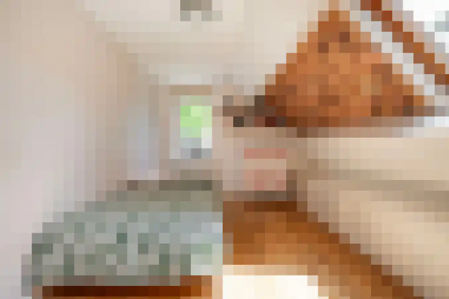 J.A. Rädeckerweg 2 Schoorl thumbnail 28
