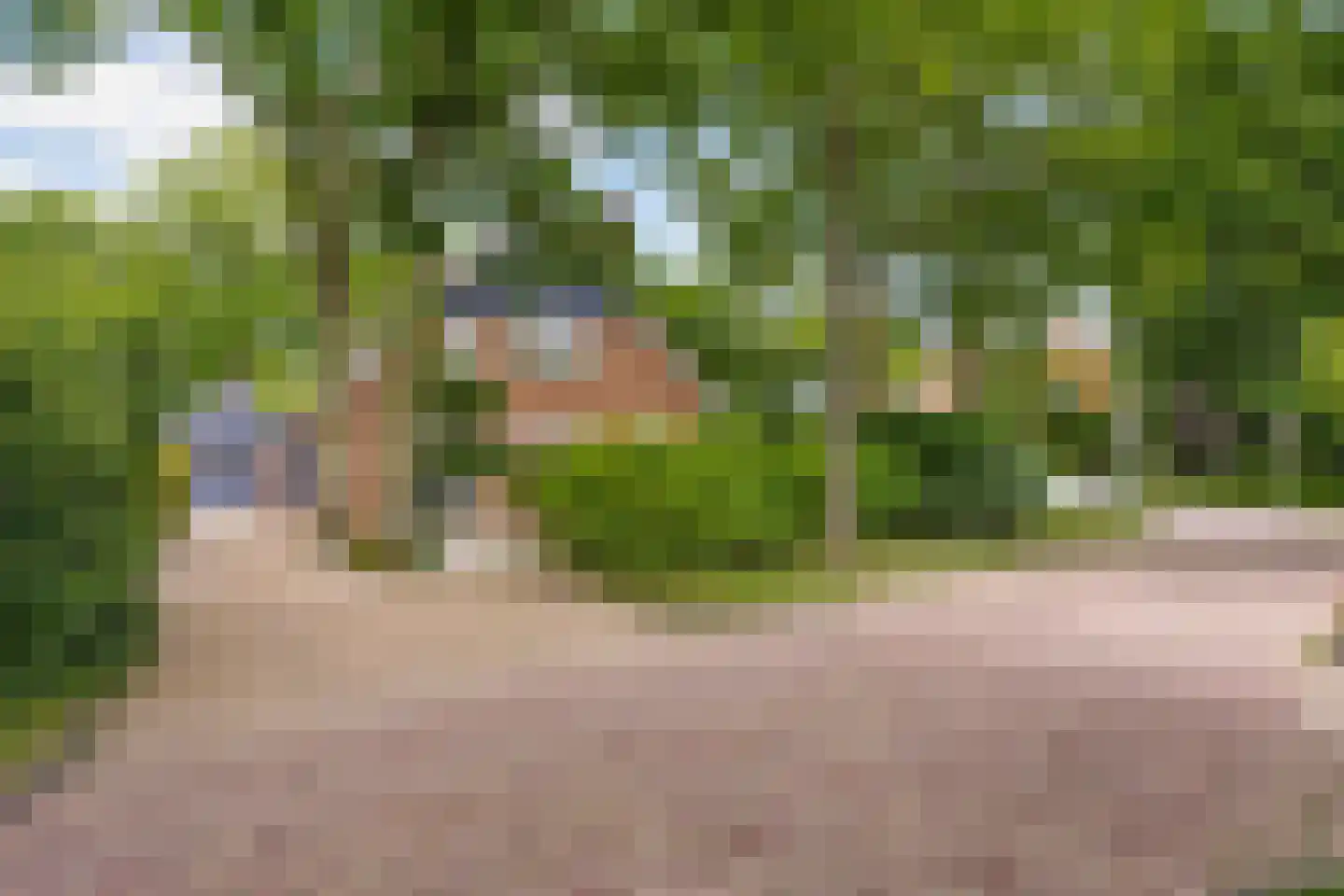 J.A. Rädeckerweg 2 Schoorl thumbnail 34