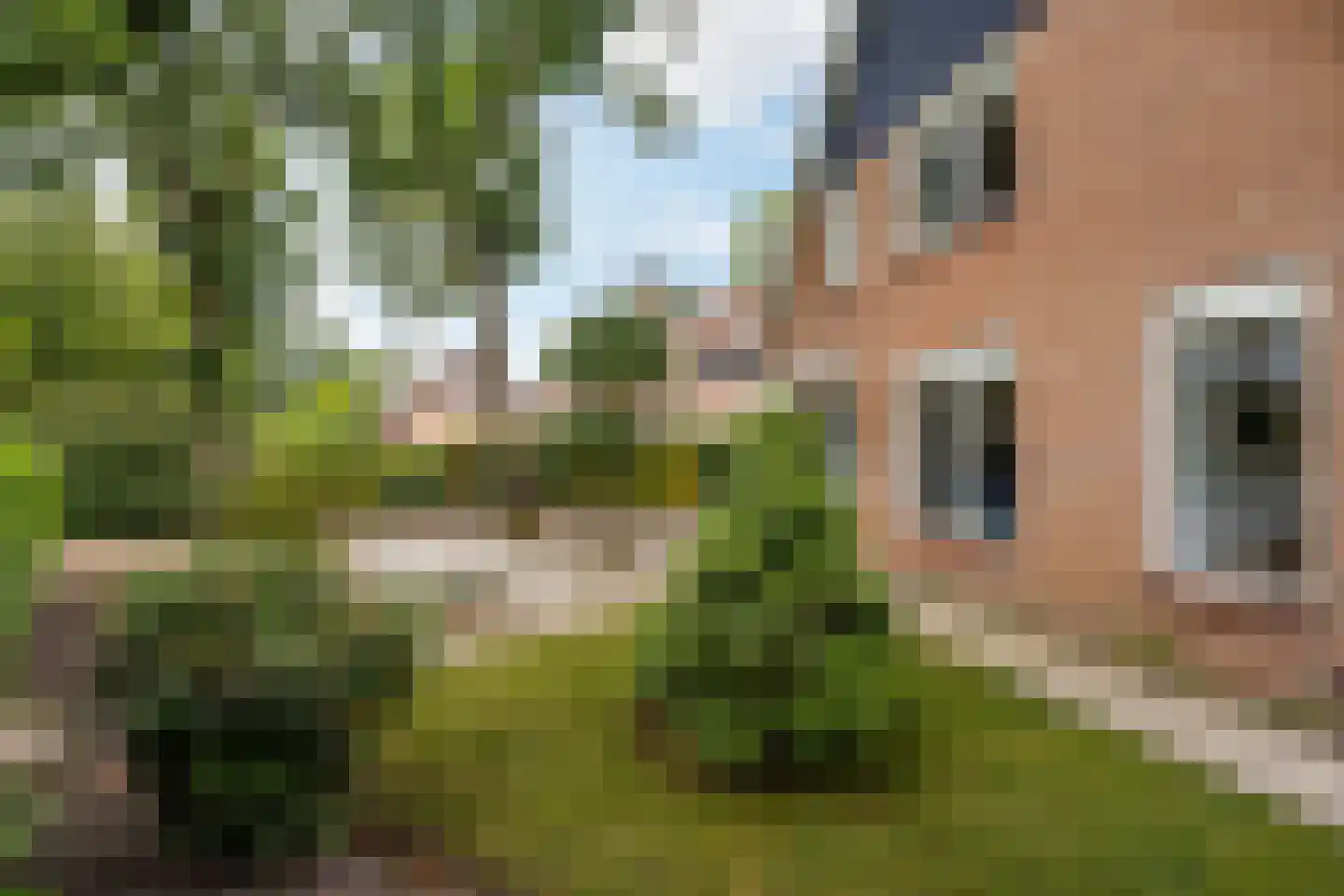 J.A. Rädeckerweg 2 Schoorl thumbnail 35
