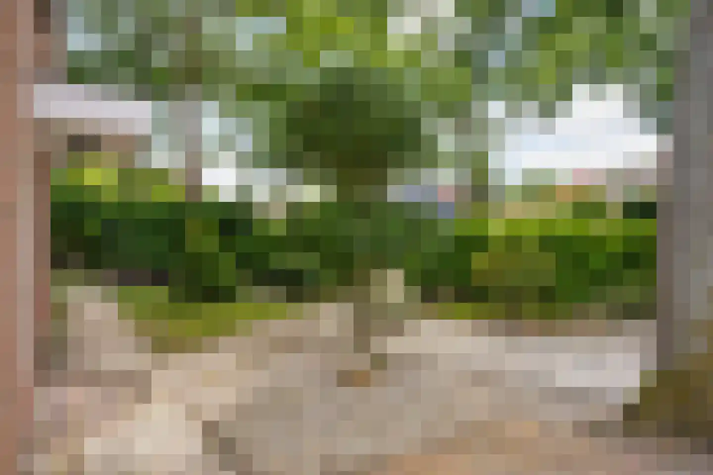 J.A. Rädeckerweg 2 Schoorl thumbnail 36