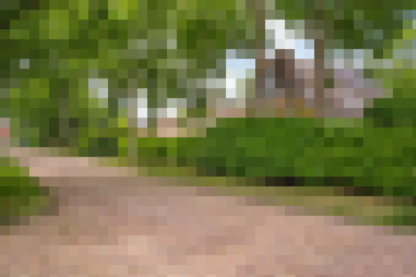 J.A. Rädeckerweg 2 Schoorl thumbnail 37