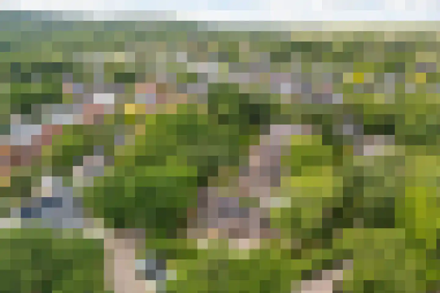 J.A. Rädeckerweg 2 Schoorl thumbnail 39