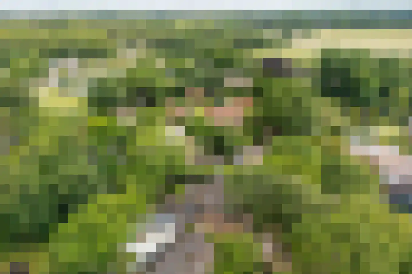 J.A. Rädeckerweg 2 Schoorl thumbnail 40